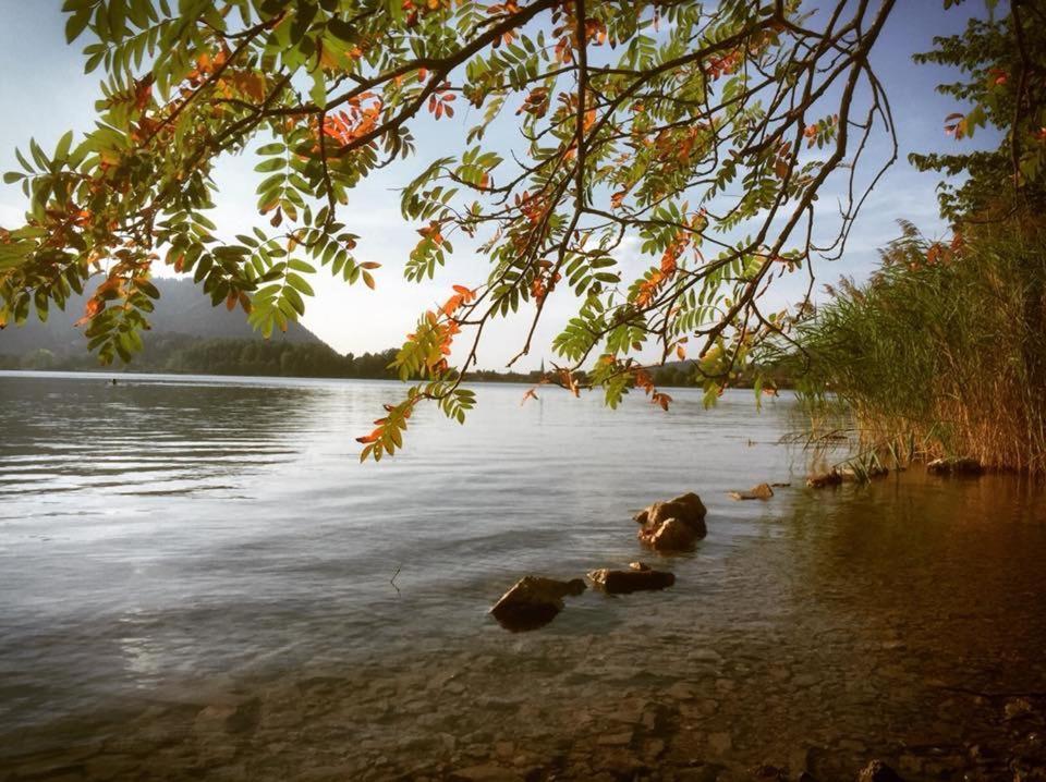 Apartmenthaus Der Johanneshof - Tolle Lage Nah Am See Schliersee Kültér fotó